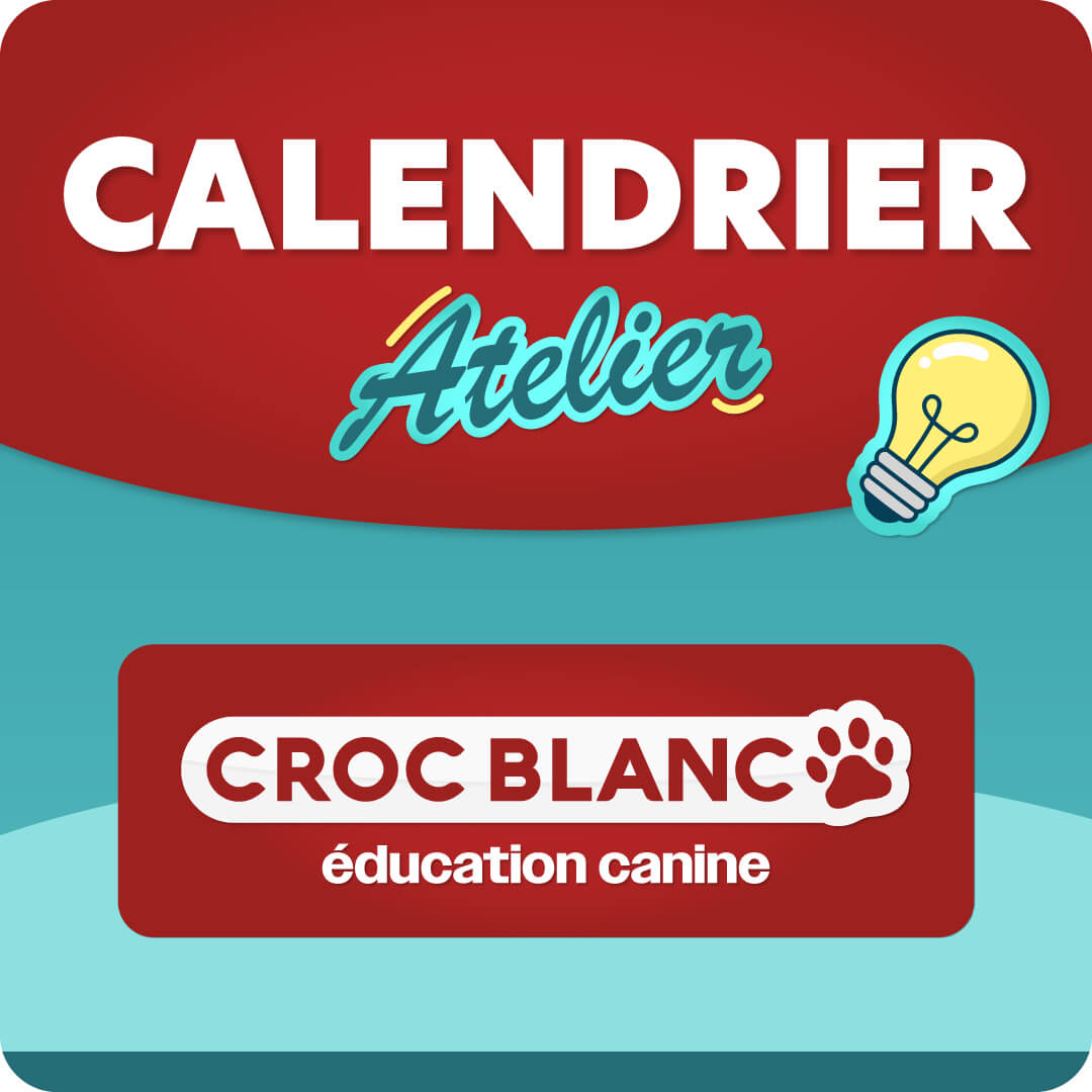 Calendrier des ateliers de Valentine