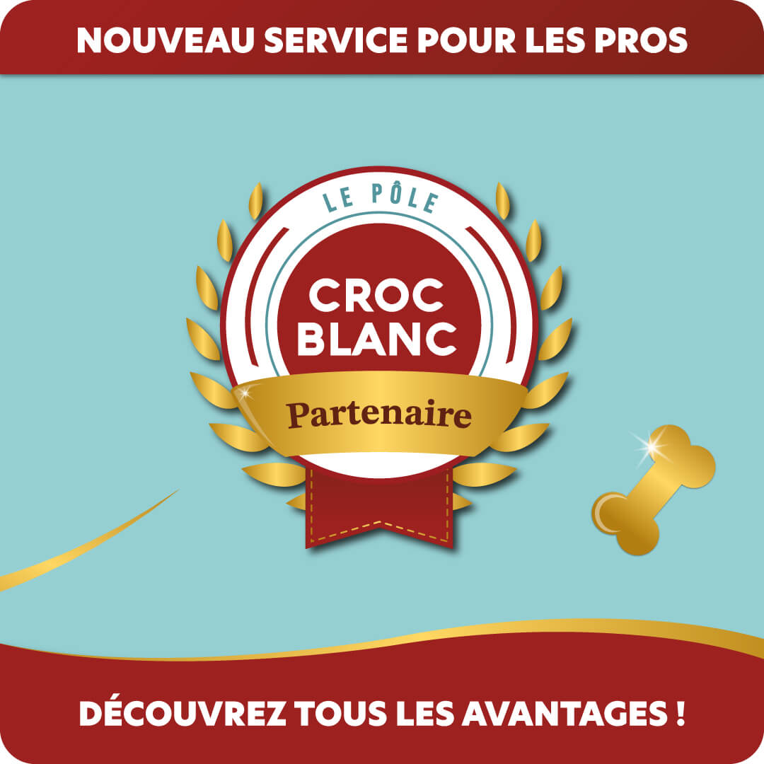 Nouveau service dédié aux professionnels