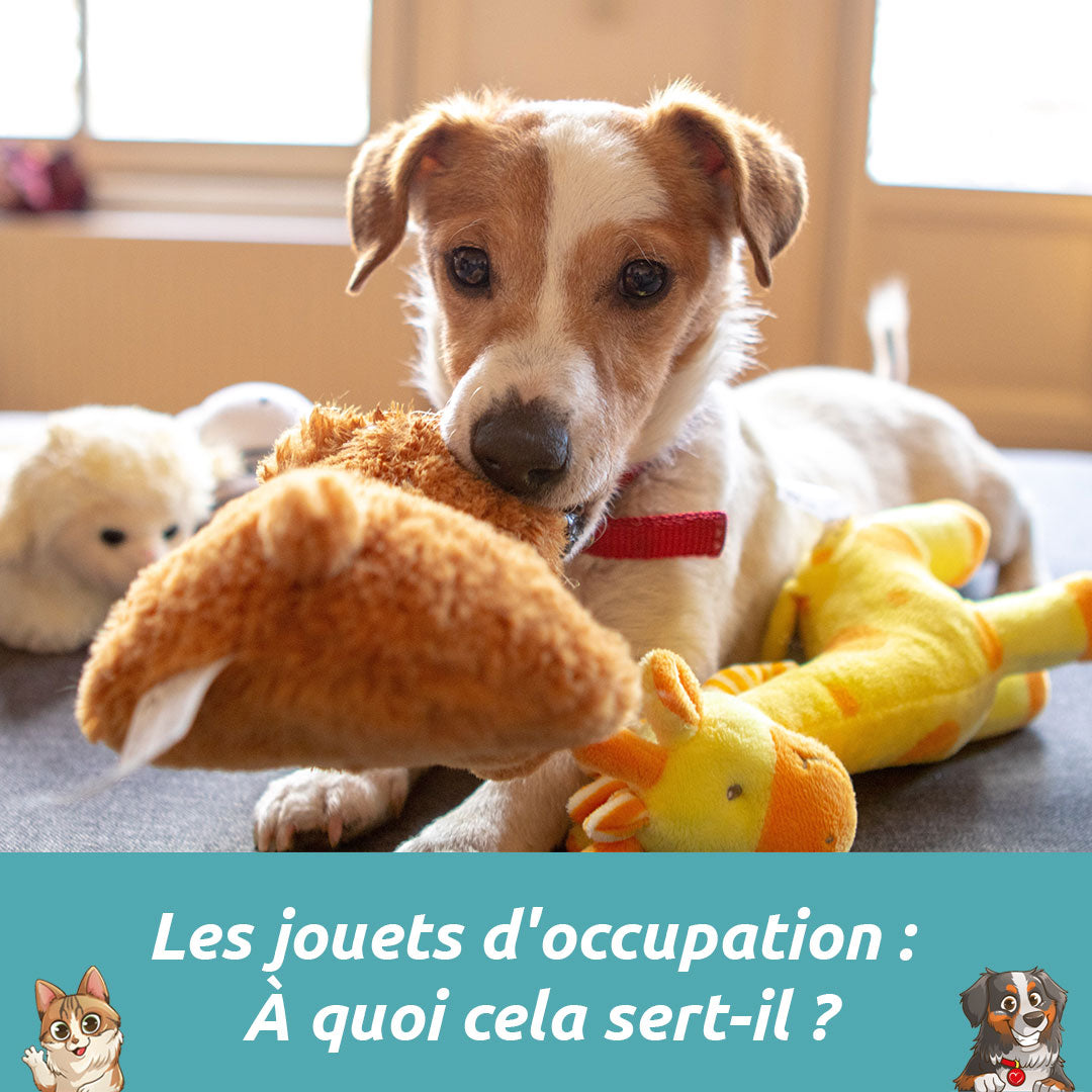 Les jouets d'occupation : À quoi cela sert-il ?