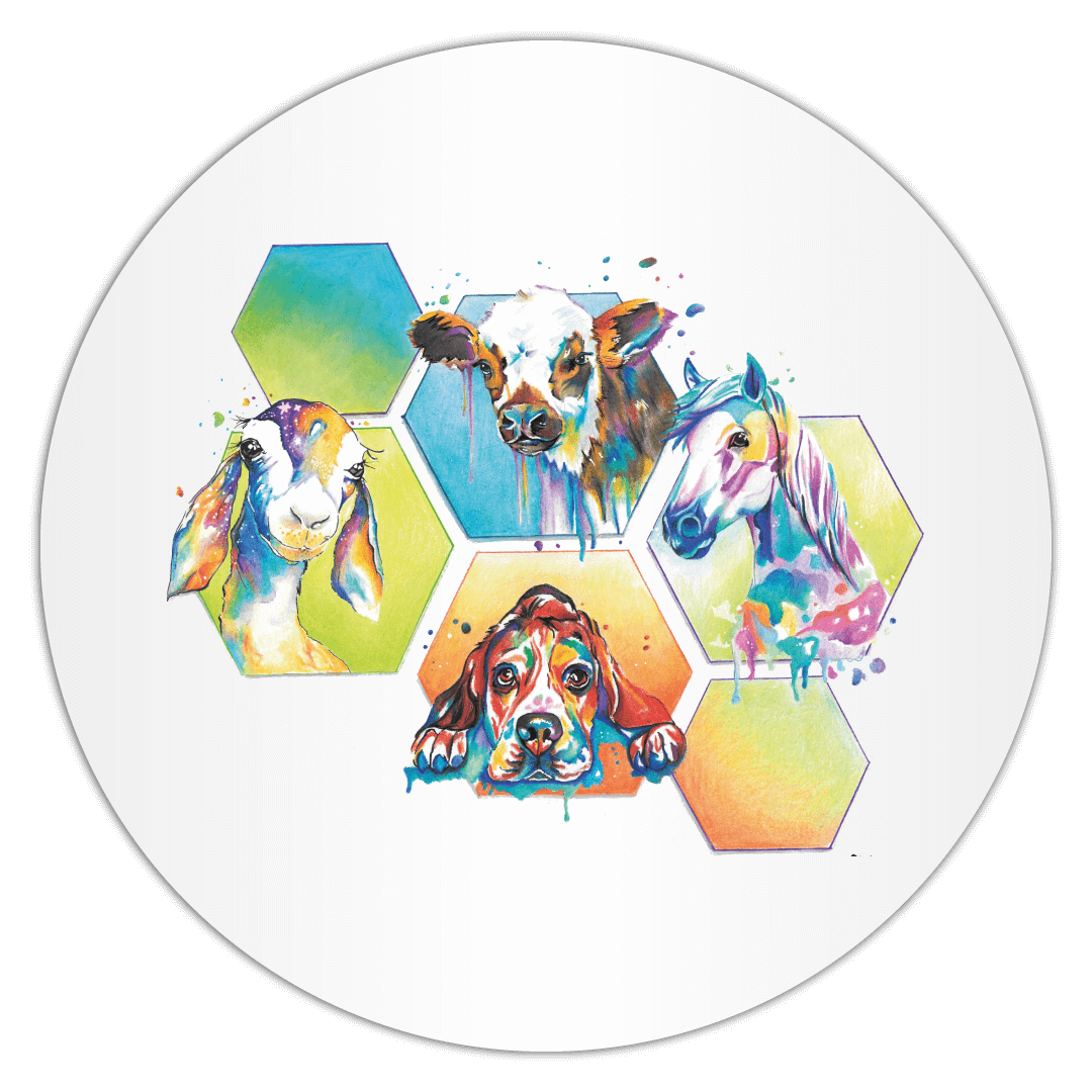 🐾 Julie Briançon – Ostéopathe animalier à Champniers