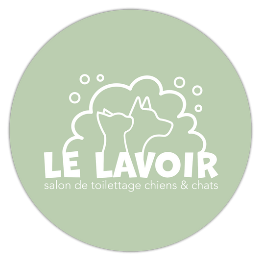 🧼 Le Lavoir – Salon de toilettage pour chiens et chats à Champniers