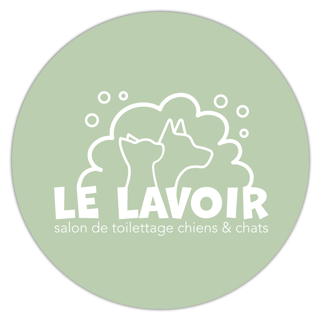 🧼 Le Lavoir – Salon de toilettage pour chiens et chats à Champniers