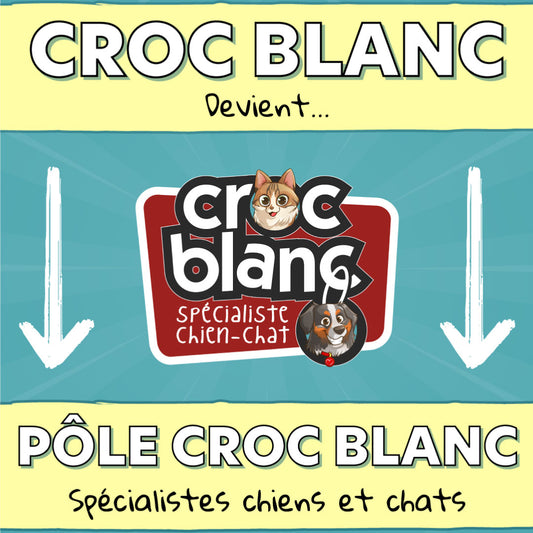 Article : Pôle Croc Blanc - Spécialistes chiens et chats