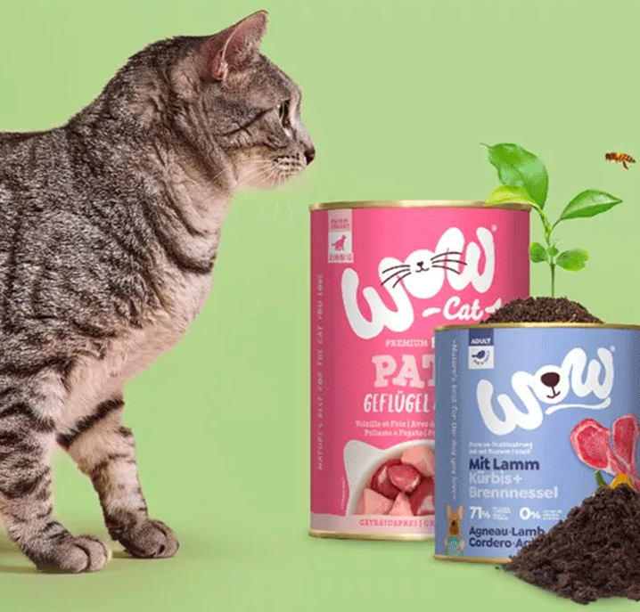 Friandises pour chat : plaisir, naturel et idées reçues à oublier