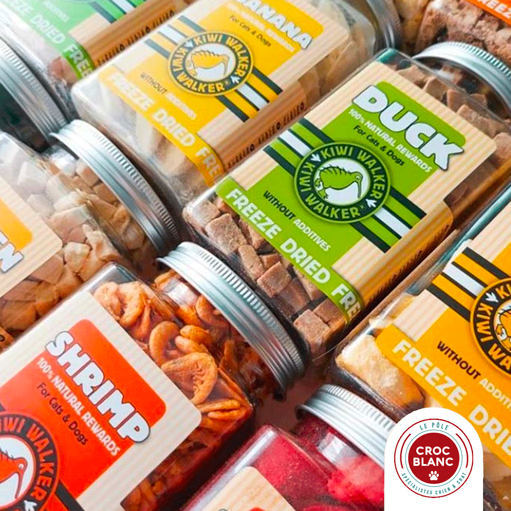 Quelles friandises naturelles choisir pour son chien ?