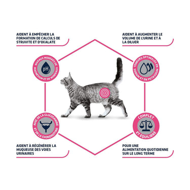Advance Urinary Chat - (Uniquement en Magasin)