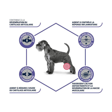 Advance Articular Senior 12 KG (Uniquement en Magasin)
