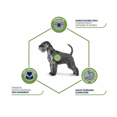 Advance Hypoallergenic 10 KG (Uniquement en Magasin)