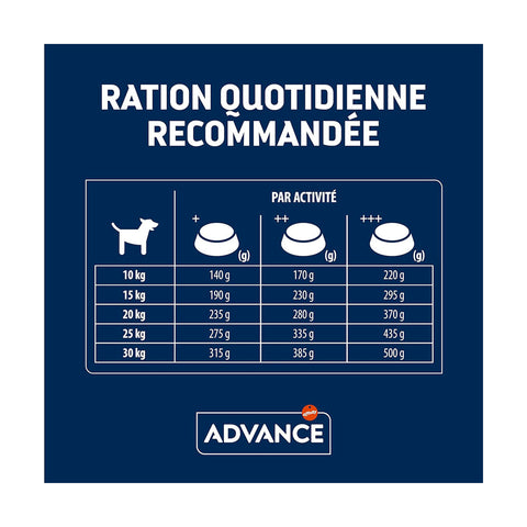 Advance Medium Senior - Croquettes pour Chien