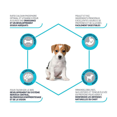 Advance Mini Puppy 7.5 KG (Uniquement en Magasin)