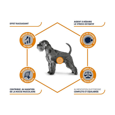 Advance Weight Balance 12 KG  (Uniquement en Magasin)
