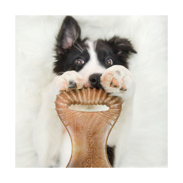 Dental Chew Bacon M - Benebone