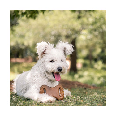 Dental Chew Bacon M - Benebone