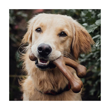 Wishbone Bacon S - Benebone