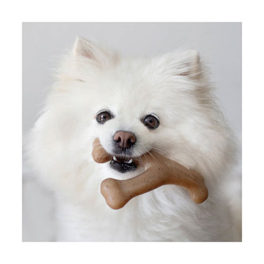 Wishbone Bacon S - Benebone
