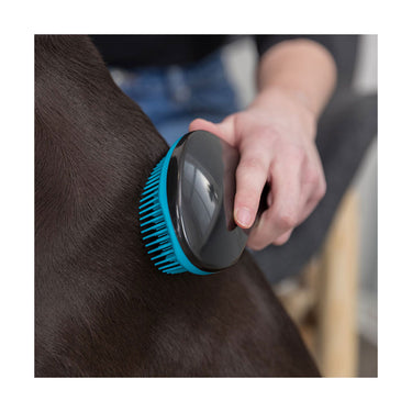 Brosse douce Bleu - TRIXIE