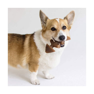 Fishbone L – Jouet à mâcher pour chien BENEBONE