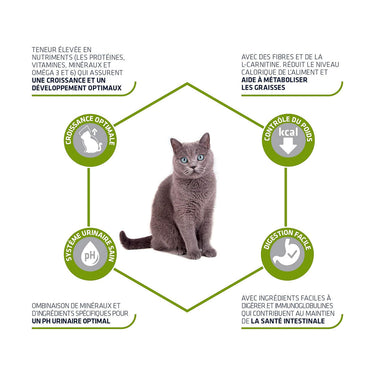 Advance Junior Sterilized 1,5 KG (Uniquement en Magasin)