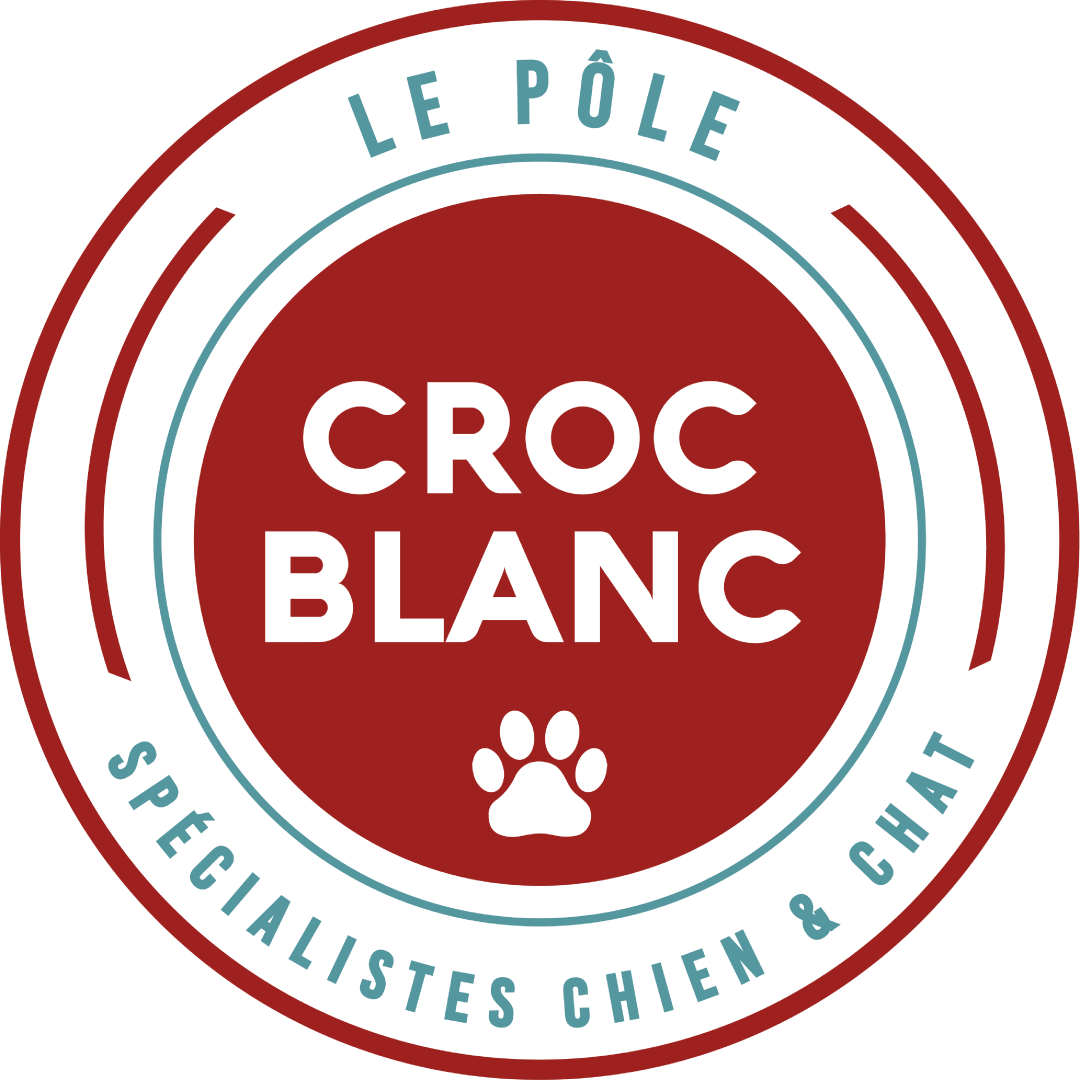 Croc Blanc