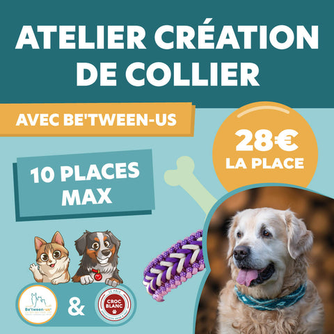 Atelier "Créez Votre Collier" avec "Be'Tween-us