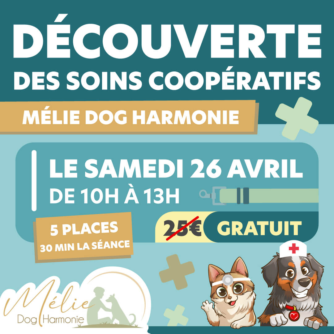 Séances Découverte : Les Soins Coopératifs pour Chiens 26/04