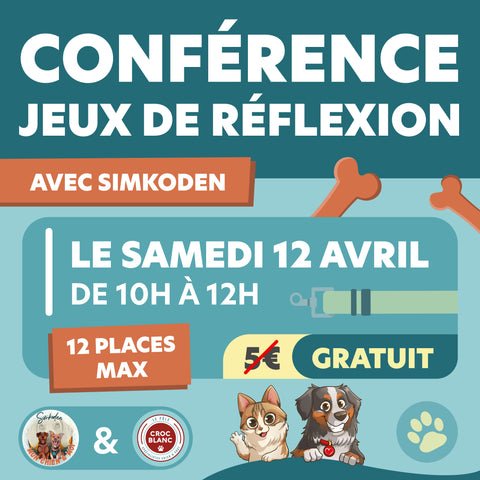 Conférence Jeux de Réflexion - Simkoden 12/04