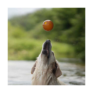 Rub Ball S - Retorn