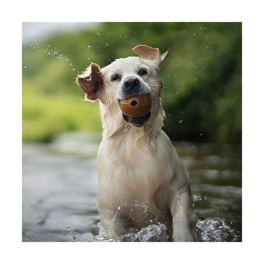 Rub Ball S - Retorn