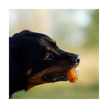 Teether Clean - Retorn