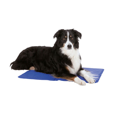 Tapis Rafraîchissant Taille XL - TRIXIE