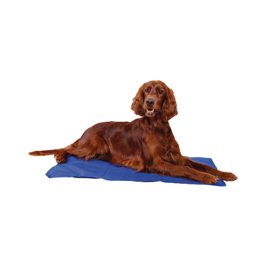 Tapis Rafraîchissant Taille XL - TRIXIE