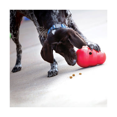 Jouet pour chien Wobbler S - KONG