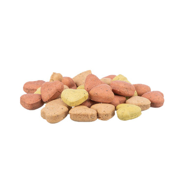 Cookies au saumon et catnip - Trixie