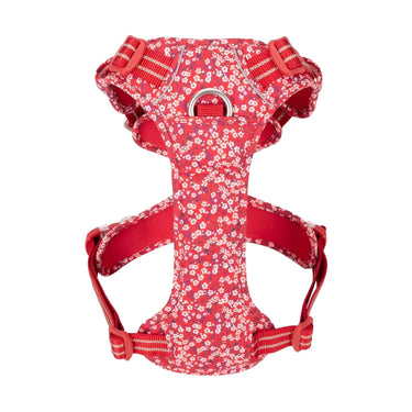 Harnais en Y - True Love POPPY RED (Uniquement en Magasin)