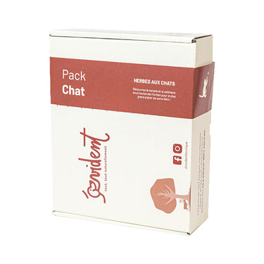 Pack chat - Évident